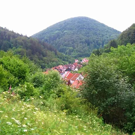 Einfamilienhaus In Zorge *