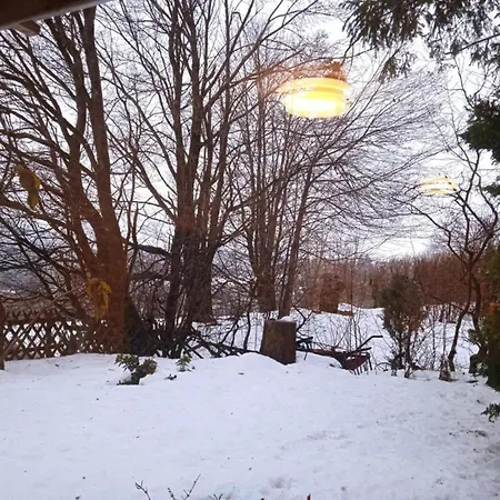 Einfamilienhaus In Zorge Feriehus Zorge