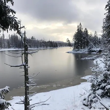 Feriehus Einfamilienhaus In Zorge Zorge